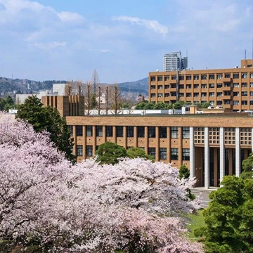 Khóa học Thạc sĩ Thiết kế Đồ họa